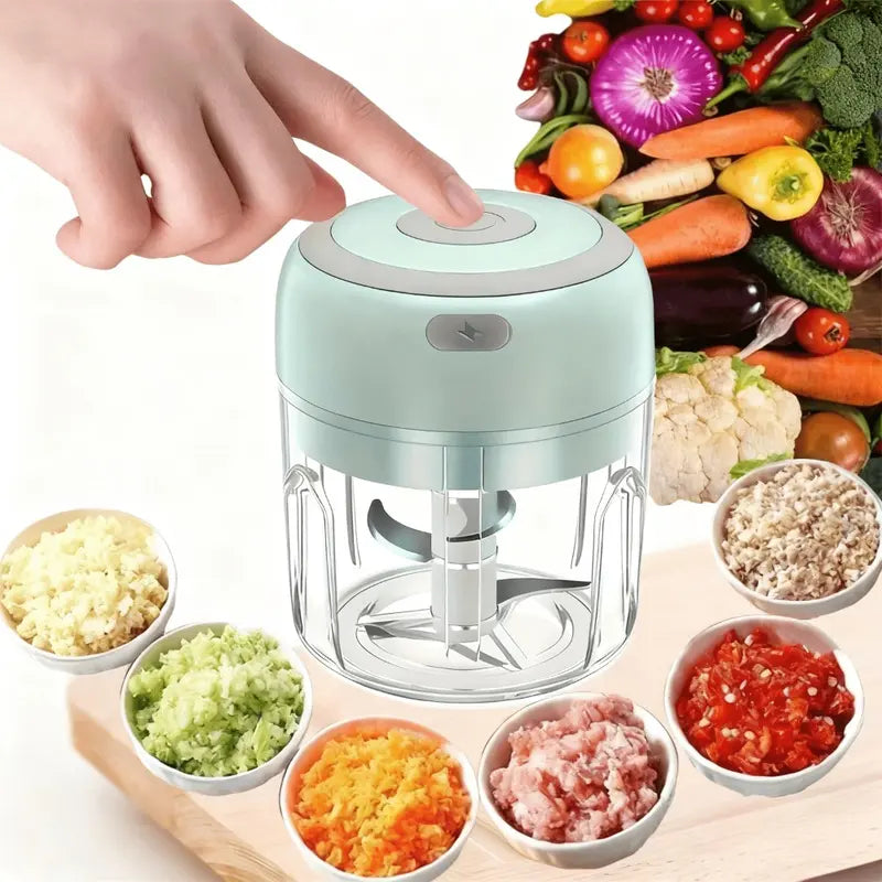 Electric Mini Vegetable Chopper